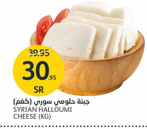  Halloumi  in AlJazera Shopping Center in KSA, Saudi Arabia, Saudi - Riyadh