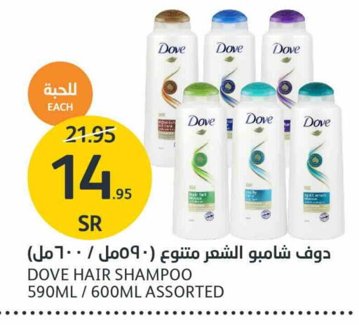 DOVE Shampoo / Conditioner  in AlJazera Shopping Center in KSA, Saudi Arabia, Saudi - Riyadh