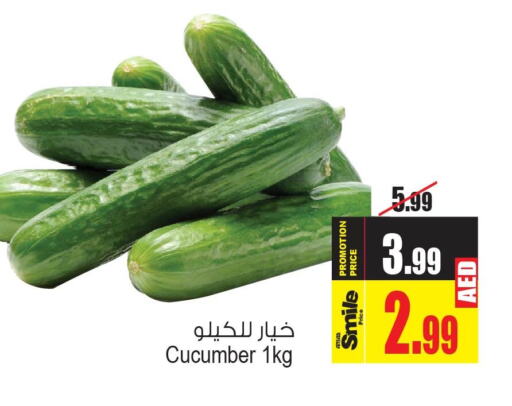  Cucumber  in Ansar Gallery in UAE - Dubai