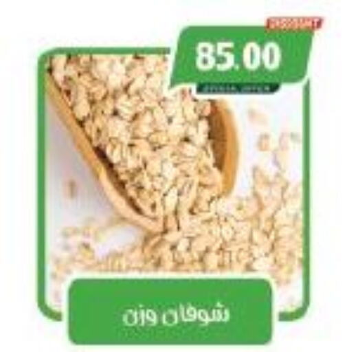 Oats