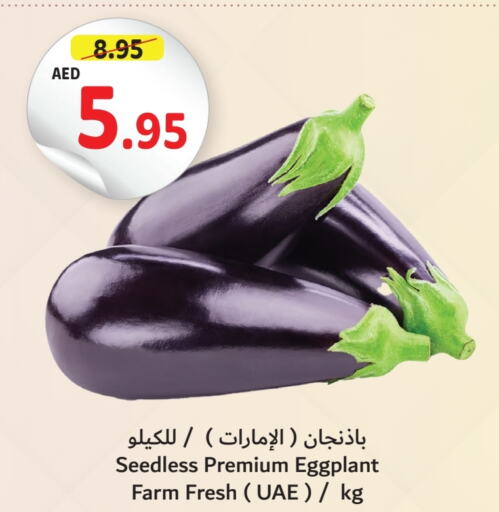    in Umm Al Quwain Coop in UAE - Sharjah / Ajman