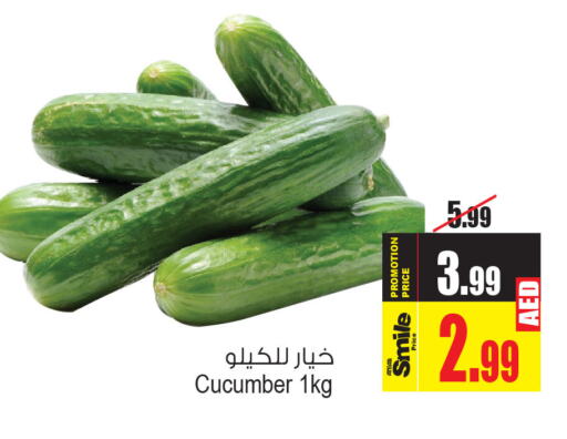  Cucumber  in Ansar Gallery in UAE - Dubai