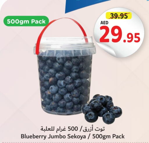  Berries  in Umm Al Quwain Coop in UAE - Sharjah / Ajman