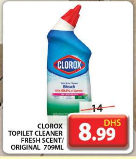 CLOROX General Cleaner  in Grand Hyper Market in UAE - Dubai