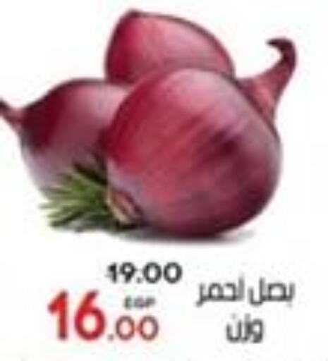 Onion