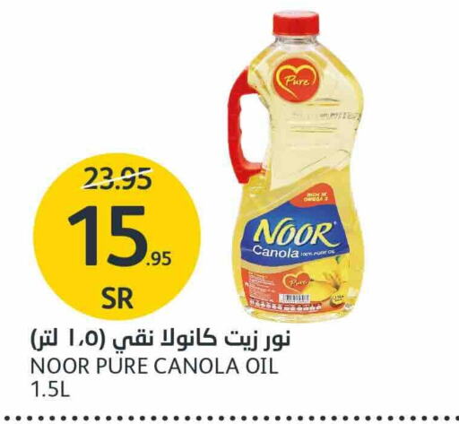 NOOR Canola Oil  in AlJazera Shopping Center in KSA, Saudi Arabia, Saudi - Riyadh