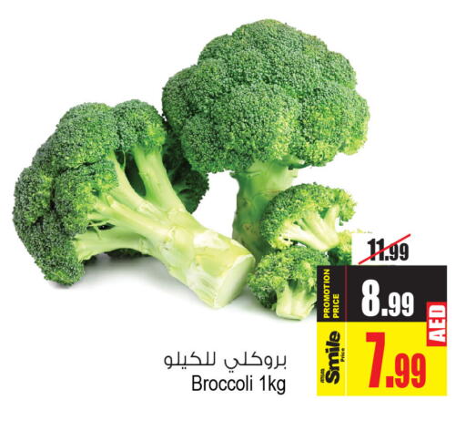  Broccoli  in Ansar Gallery in UAE - Dubai