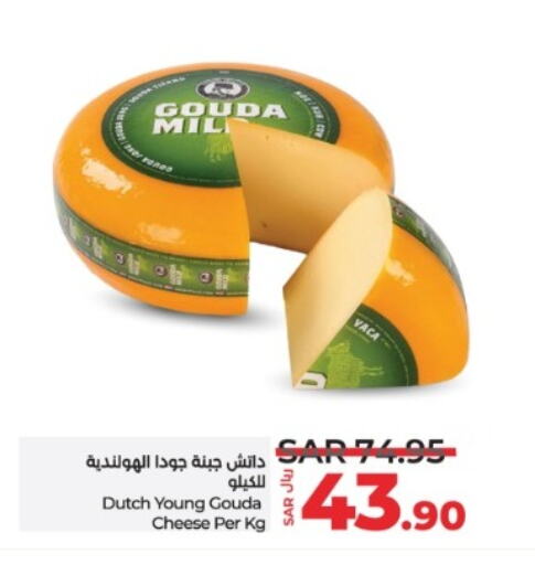 Gouda