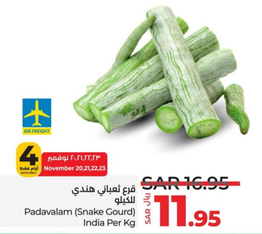  Gourd  in LULU Hypermarket in KSA, Saudi Arabia, Saudi - Jeddah