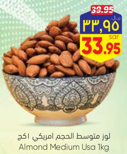    in ستي فلاور in مملكة العربية السعودية, السعودية, سعودية - حائل‎