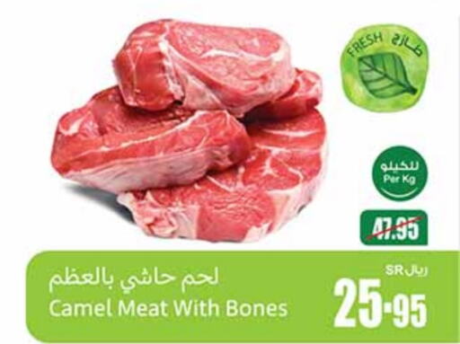  Camel meat  in Othaim Markets in KSA, Saudi Arabia, Saudi - Unayzah