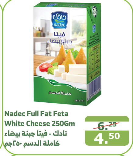 NADEC Feta  in Al Raya in KSA, Saudi Arabia, Saudi - Mecca