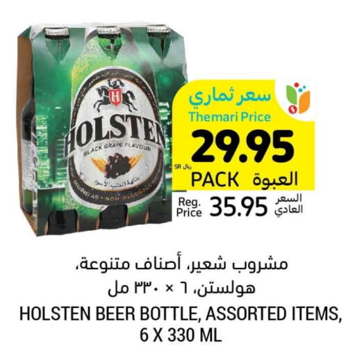 HOLSTEN