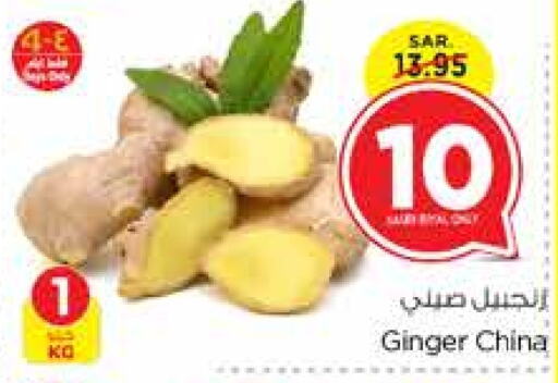  Ginger  in Nesto in KSA, Saudi Arabia, Saudi - Jubail