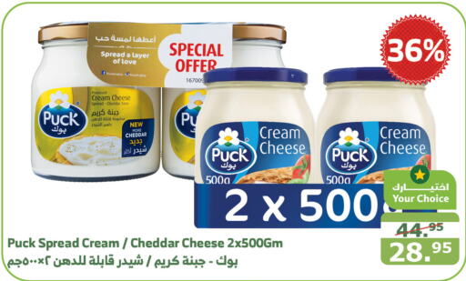 PUCK Cheddar Cheese  in Al Raya in KSA, Saudi Arabia, Saudi - Mecca