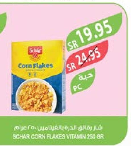  Corn Flakes  in Farm  in KSA, Saudi Arabia, Saudi - Jubail