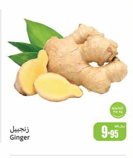  Ginger  in Othaim Markets in KSA, Saudi Arabia, Saudi - Jubail