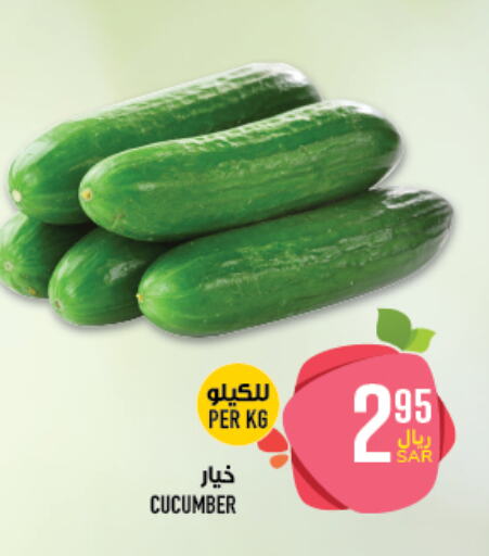 Cucumber