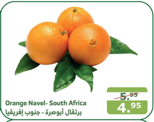  Orange  in Al Raya in KSA, Saudi Arabia, Saudi - Mecca