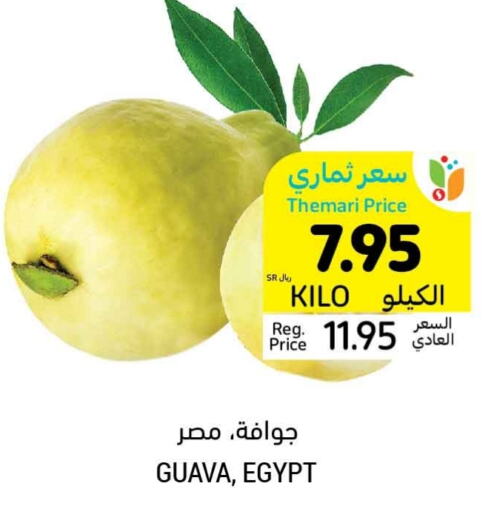  Guava  in Tamimi Market in KSA, Saudi Arabia, Saudi - Jubail