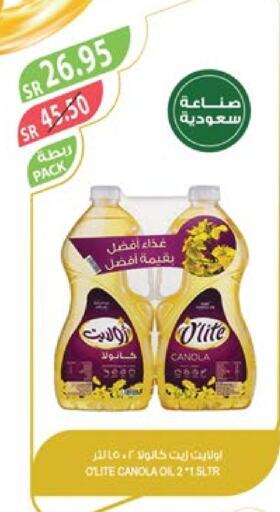 Olite Canola Oil  in Farm  in KSA, Saudi Arabia, Saudi - Jubail