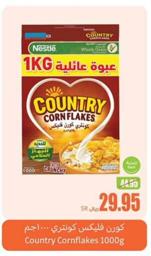 NESTLE Corn Flakes  in Othaim Markets in KSA, Saudi Arabia, Saudi - Unayzah