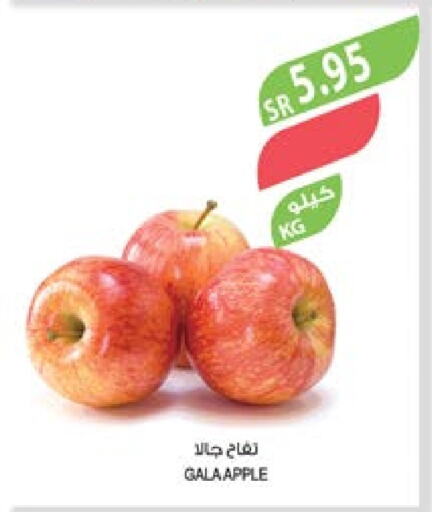  Apples  in Farm  in KSA, Saudi Arabia, Saudi - Jubail