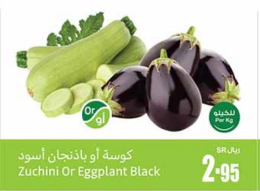  Zucchini  in Othaim Markets in KSA, Saudi Arabia, Saudi - Jeddah