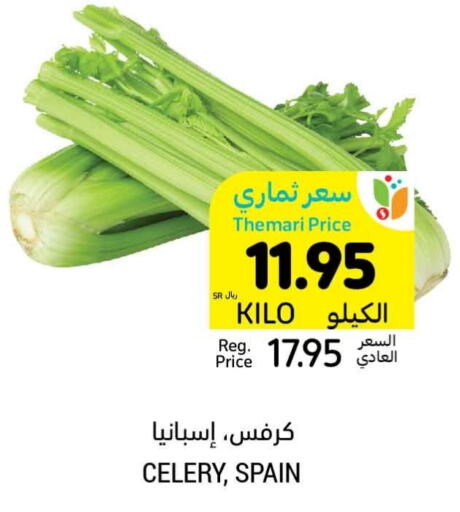  Celery  in Tamimi Market in KSA, Saudi Arabia, Saudi - Hafar Al Batin