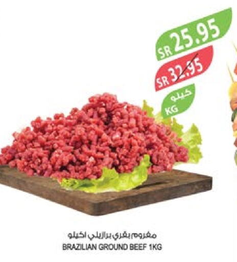  Beef  in Farm  in KSA, Saudi Arabia, Saudi - Riyadh