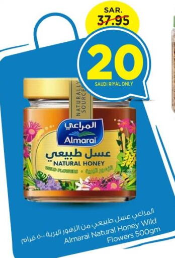 ALMARAI Honey  in Nesto in KSA, Saudi Arabia, Saudi - Riyadh