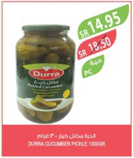 DURRA Pickle  in Farm  in KSA, Saudi Arabia, Saudi - Jubail