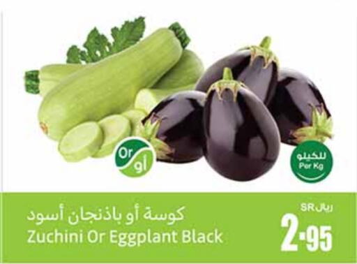  Zucchini  in Othaim Markets in KSA, Saudi Arabia, Saudi - Jubail