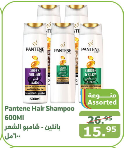 PANTENE Shampoo / Conditioner  in Al Raya in KSA, Saudi Arabia, Saudi - Mecca