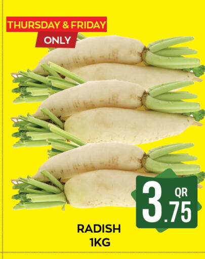  Radish  in Majlis Shopping Center in Qatar - Doha