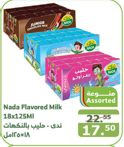 NADA Flavoured Milk  in Al Raya in KSA, Saudi Arabia, Saudi - Mecca