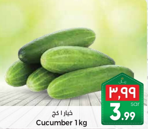 Cucumber