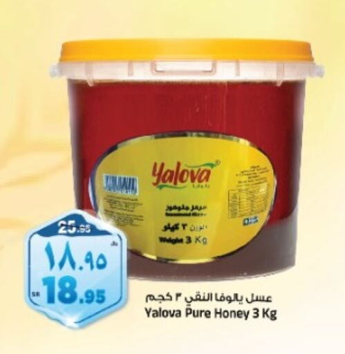  Honey  in Al Madina Hypermarket in KSA, Saudi Arabia, Saudi - Riyadh