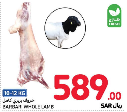  Mutton / Lamb  in Carrefour in KSA, Saudi Arabia, Saudi - Riyadh