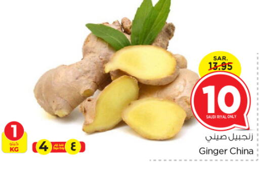  Ginger  in Nesto in KSA, Saudi Arabia, Saudi - Riyadh