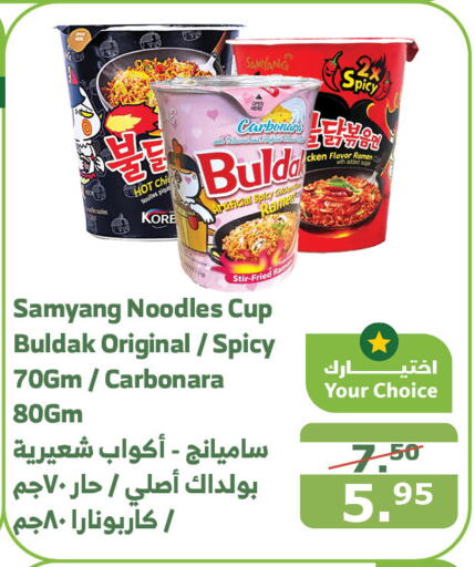  Instant Cup Noodles  in Al Raya in KSA, Saudi Arabia, Saudi - Mecca