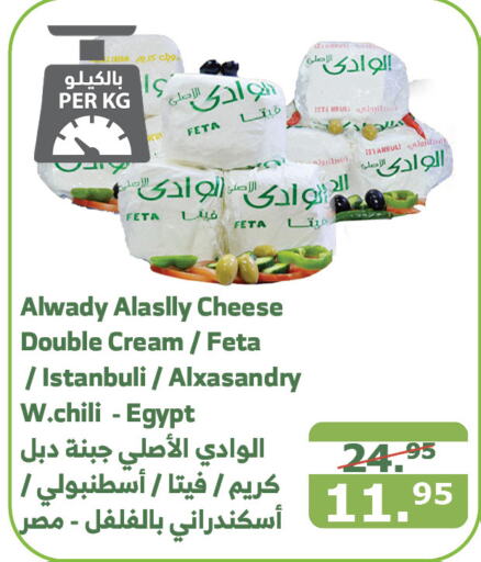  Feta  in Al Raya in KSA, Saudi Arabia, Saudi - Mecca