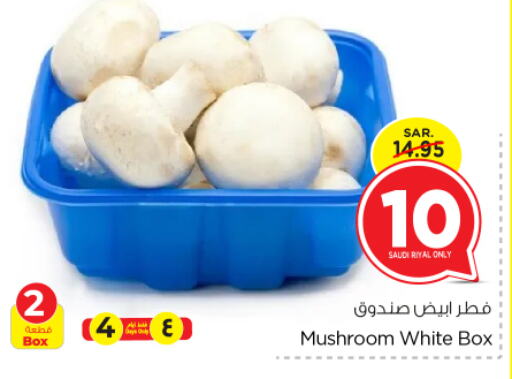  Mushroom  in Nesto in KSA, Saudi Arabia, Saudi - Riyadh