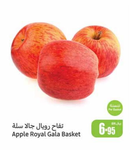  Apples  in Othaim Markets in KSA, Saudi Arabia, Saudi - Unayzah