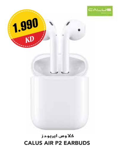 Earphone