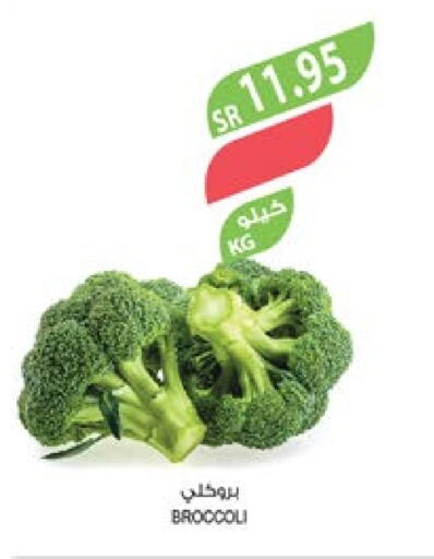  Broccoli  in Farm  in KSA, Saudi Arabia, Saudi - Jubail