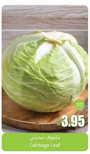  Cabbage  in Othaim Markets in KSA, Saudi Arabia, Saudi - Jeddah