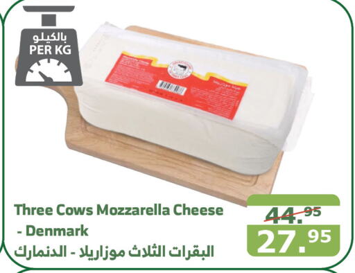  Mozzarella  in Al Raya in KSA, Saudi Arabia, Saudi - Al Bahah