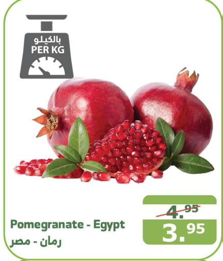  Pomegranate  in Al Raya in KSA, Saudi Arabia, Saudi - Mecca