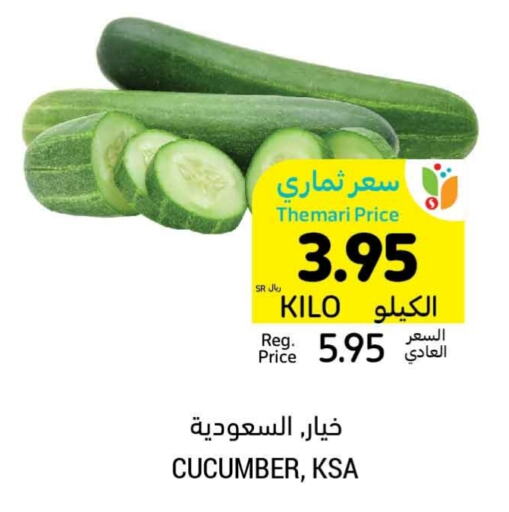 Cucumber